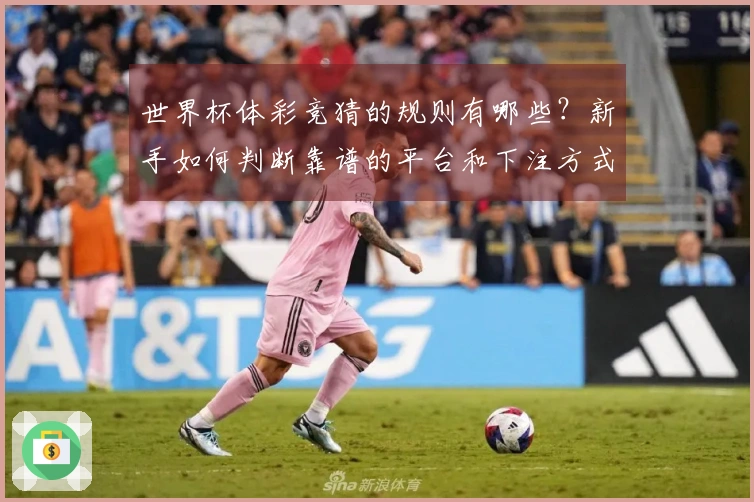 世界杯体彩竞猜的规则有哪些？新手如何判断靠谱的平台和下注方式