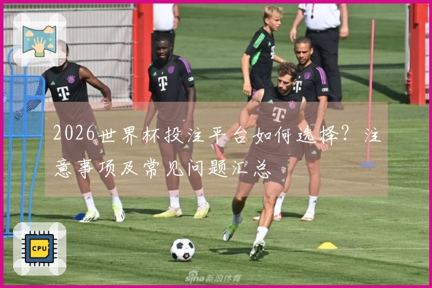 2026世界杯投注平台如何选择？注意事项及常见问题汇总