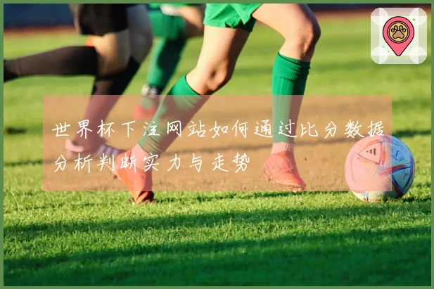 世界杯下注网站如何通过比分数据分析判断实力与走势