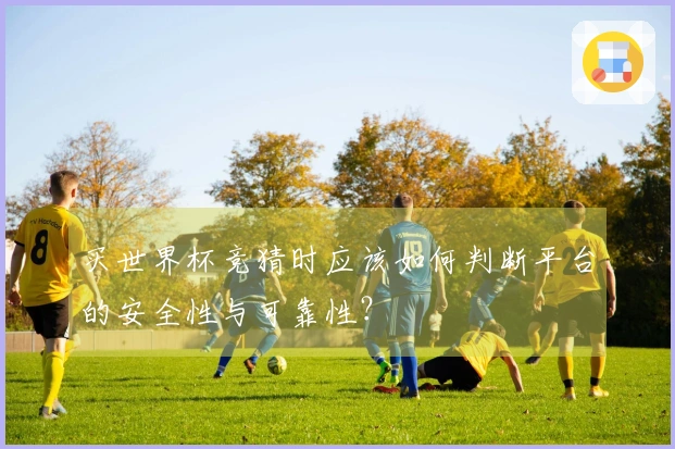 买世界杯竞猜时应该如何判断平台的安全性与可靠性？