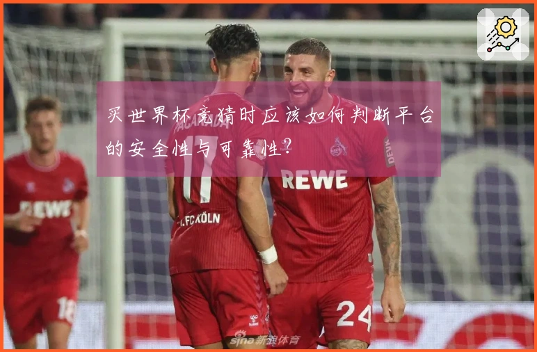 买世界杯竞猜时应该如何判断平台的安全性与可靠性？
