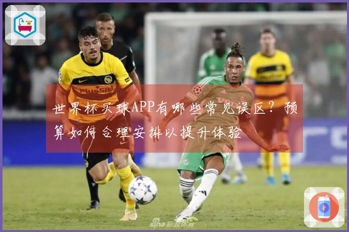 世界杯买球APP有哪些常见误区？预算如何合理安排以提升体验