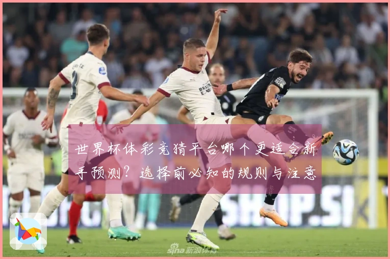 世界杯体彩竞猜平台哪个更适合新手预测？选择前必知的规则与注意事项