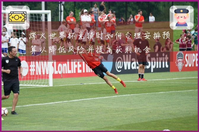 烽火世界杯竞猜时如何合理安排预算以降低风险并提高获利机会