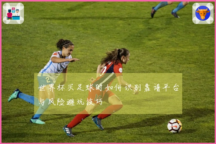 世界杯买足球时如何识别靠谱平台与风险避坑技巧