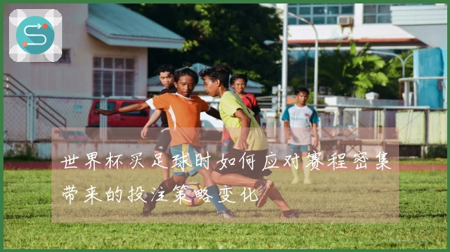世界杯买足球时如何应对赛程密集带来的投注策略变化