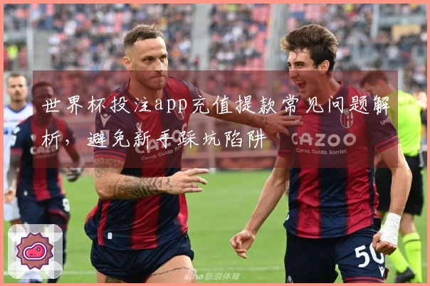 世界杯投注app充值提款常见问题解析，避免新手踩坑陷阱
