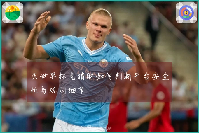 买世界杯竞猜时如何判断平台安全性与规则细节