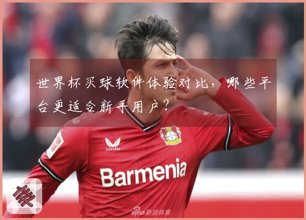 世界杯买球软件体验对比，哪些平台更适合新手用户？