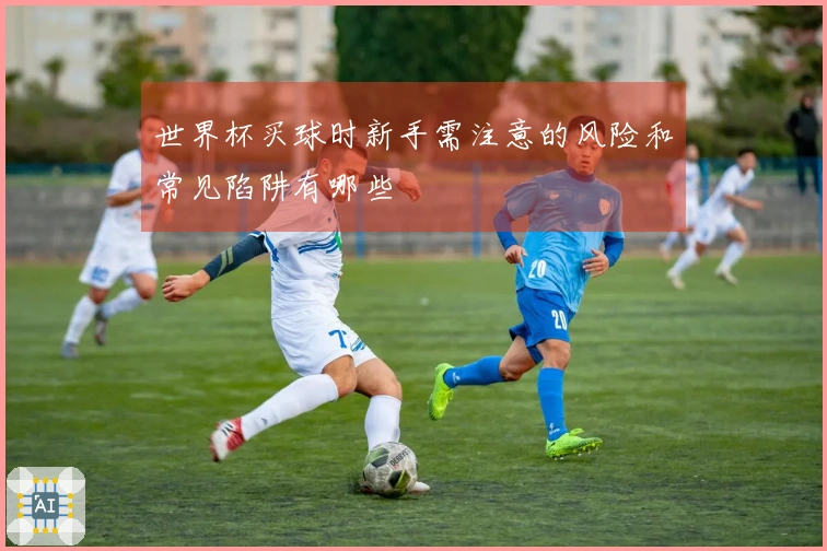 世界杯买球时新手需注意的风险和常见陷阱有哪些
