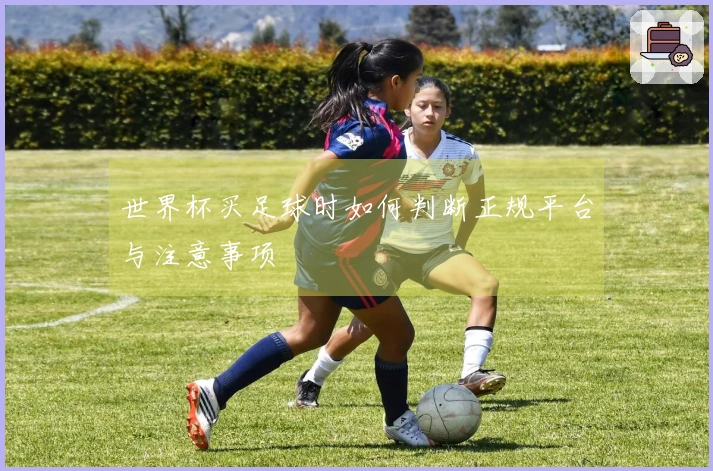 世界杯买足球时如何判断正规平台与注意事项