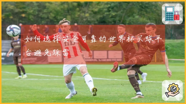 如何选择安全可靠的世界杯买球平台避免踩雷