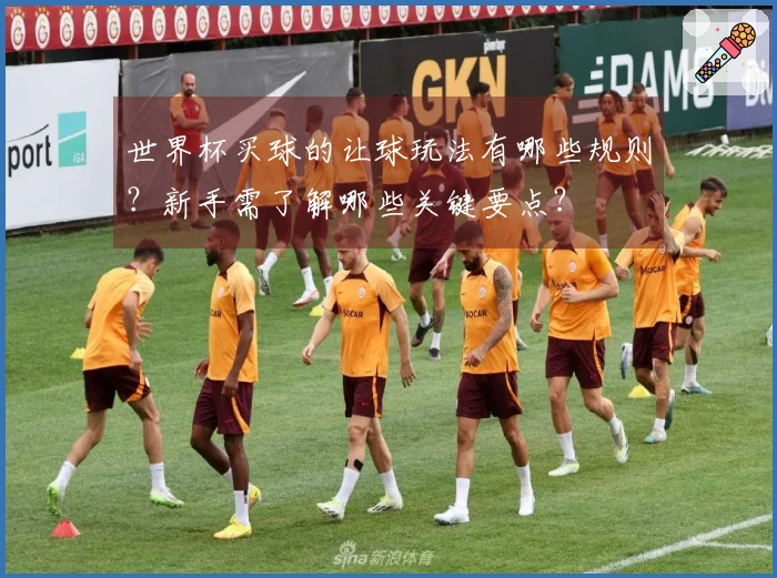 世界杯买球的让球玩法有哪些规则？新手需了解哪些关键要点？