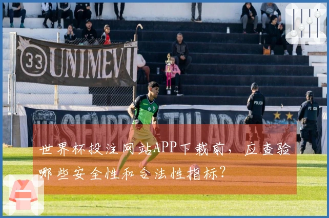 世界杯投注网站APP下载前，应查验哪些安全性和合法性指标？