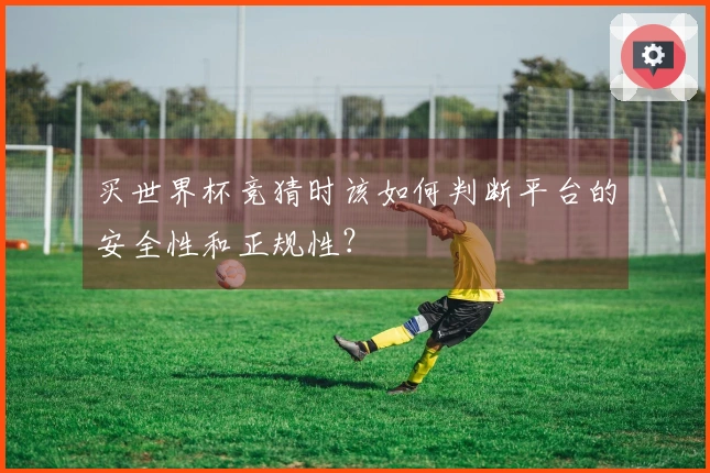 买世界杯竞猜时该如何判断平台的安全性和正规性？