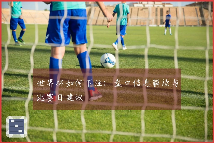 世界杯如何下注：盘口信息解读与比赛日建议