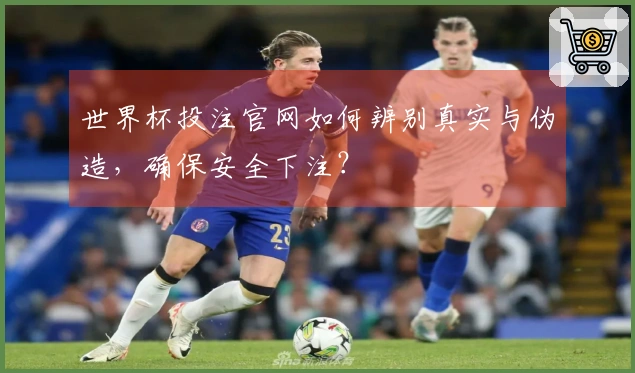 世界杯投注官网如何辨别真实与伪造，确保安全下注？