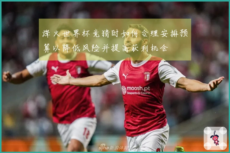 烽火世界杯竞猜时如何合理安排预算以降低风险并提高获利机会