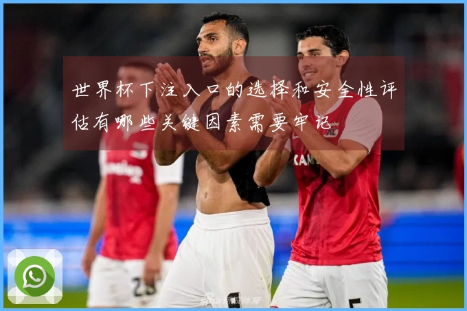 世界杯下注入口的选择和安全性评估有哪些关键因素需要牢记