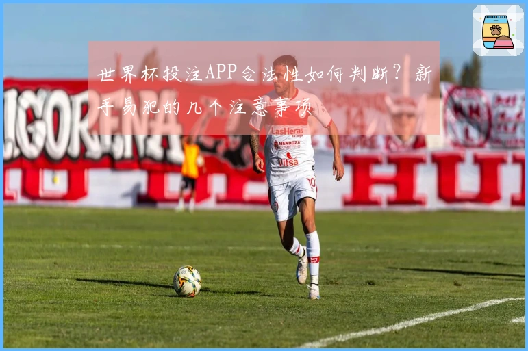 世界杯投注APP合法性如何判断？新手易犯的几个注意事项